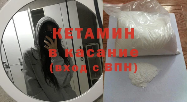 шишки Аркадак