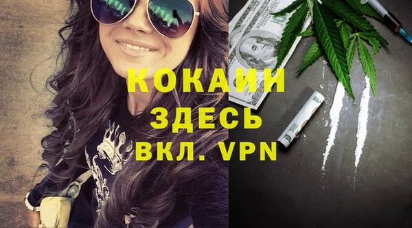 шишки Аркадак