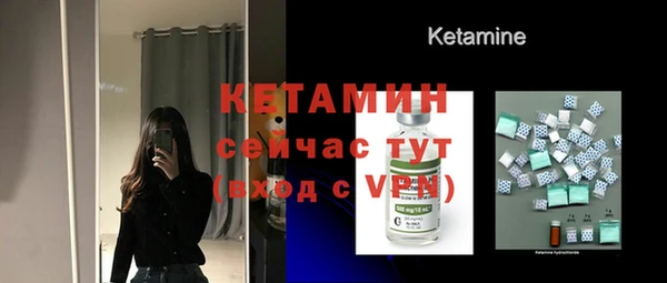 шишки Аркадак