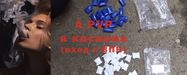 шишки Аркадак