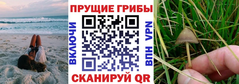 Галлюциногенные грибы GOLDEN TEACHER  даркнет какой сайт  Салават 